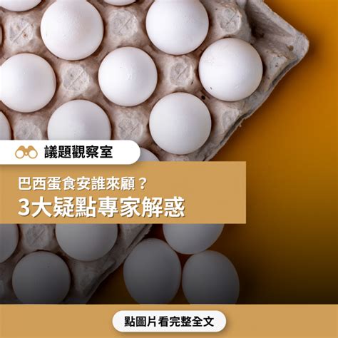 巴西蛋|【進口雞蛋安不安】巴西蛋食安誰來顧？ 3大疑點專家。